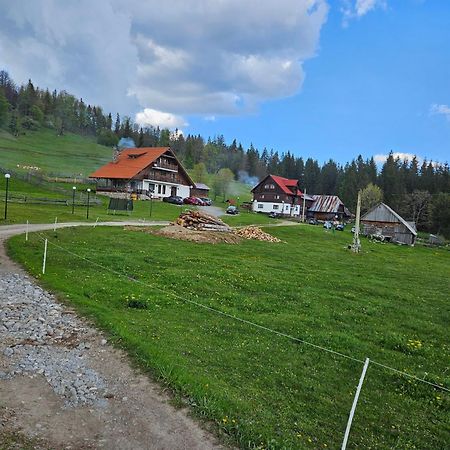 Pensiunea Scarisoara Ghetari Zewnętrze zdjęcie