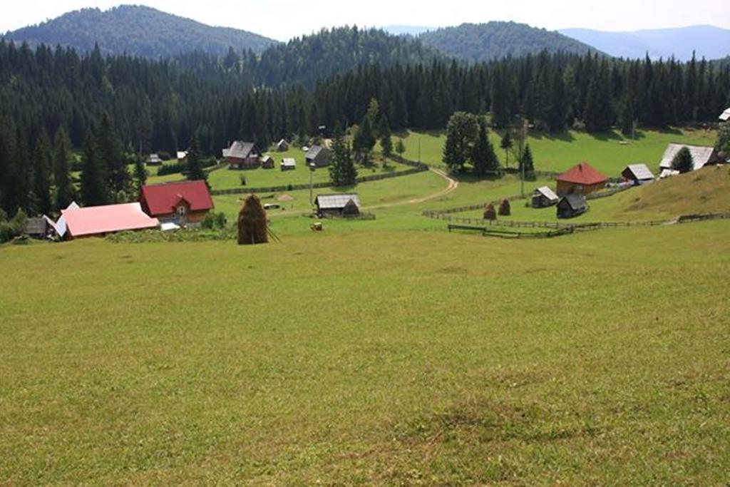 Pensiunea Scarisoara Ghetari Zewnętrze zdjęcie